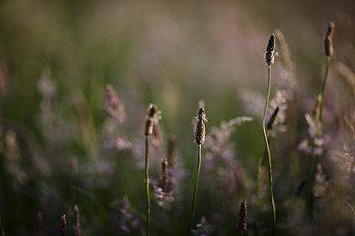 科隆：《穿越火线X》巴比伦更新上线 新增大量内容